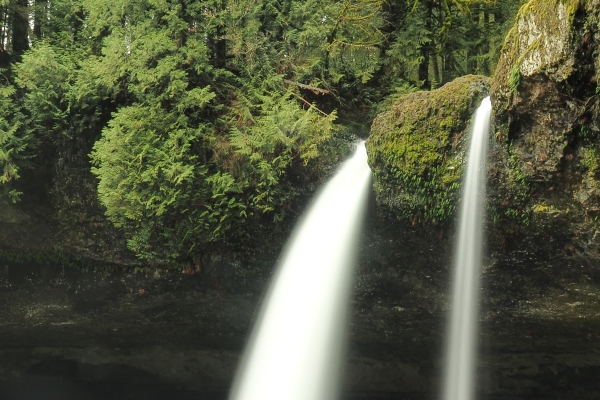 Silky twin waterfalls in green forest