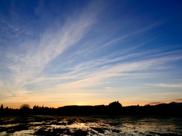 Bue sky and white clouds after sunset in wetlands